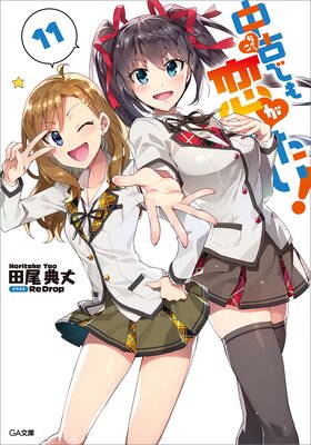 ��ŤǤ�������������11