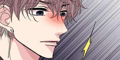 �����ҡ����Х˥� 208�ڥե륫�顼��