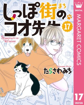 ���äݳ��Υ������� 17