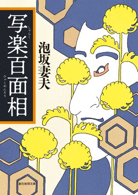 �̳�ɴ�����ɽ��