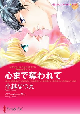 華麗なる日々 セット