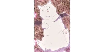 ���ȸ��Ԥ�����夬�� ��11�� ���ɥХ���������ڥե륫�顼��