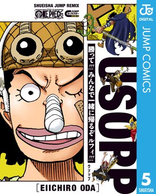 ONE PIECE �����å�