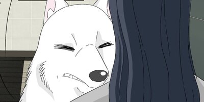 �ϥ����������ե�饤�ա�40�ˡڥե륫�顼��