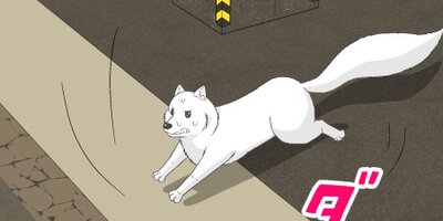 �ϥ����������ե�饤�ա�49�ˡڥե륫�顼��