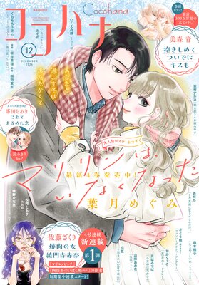 �����ϥ� 2024ǯ12��� �Ż���