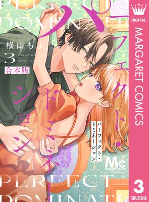 �ѡ��ե����ȡ��ɥߥ͡������ 3