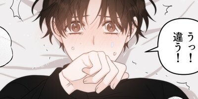 ŷ�Ȥ˥롼�ॵ���ӥ����Manhattan Romance��25�ˡڥե륫�顼��