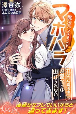 �ޥۥϥ����ˡ�ϥ饹���ȡ� ��󤳷���ˡΧ�Τ�Ů�������ƨ�����ʤ���ɽ��