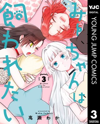 �ߡ������ϻ���줿�� 3