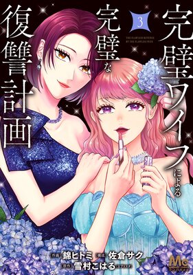 �����磻�դˤ�봰���������ײ� ñ������ 3