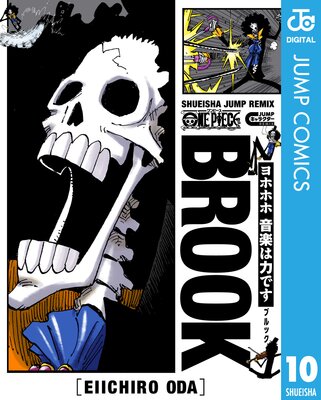 ONE PIECE �֥�å�