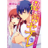 秘密のセフレ〜快感略奪レッスン〜3