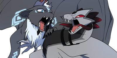 �ɥ饳��� ��40�áڥե륫�顼��