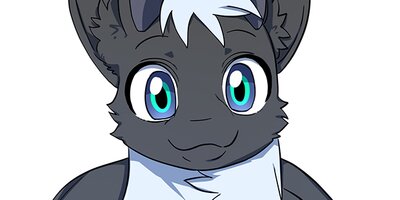 �ɥ饳��� ��88�áڥե륫�顼��