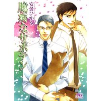 臆病なサボテン