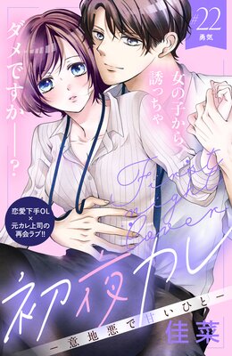 ���륫�� -���ϰ��ǴŤ��Ҥ�- ʬ���� 22��