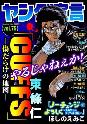  Vol.75