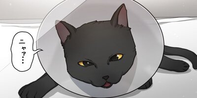 ���������� ��16�áڥե륫�顼��