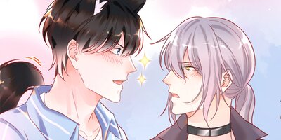 ž�������μҲ��ٶ� ��33�áڥե륫�顼��