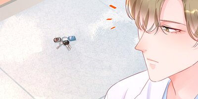 ž�������μҲ��ٶ� ��46�áڥե륫�顼��