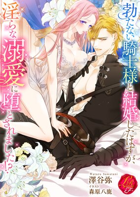 �֤��ʤ������ͤȷ뺧�����Ϥ����������Ů�����ĤȤ���ޤ�������