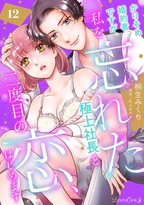 ���ꤽ�ầ��ԤǤ��������˺�줿�˾��Ĺ�������ܤ������Ϥ���ޤ� ��ʬ���ǡ�