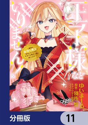 王子様などいりません!【分冊版】 11