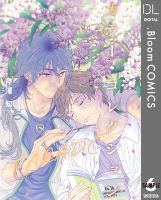 ��ñ����ۥ��顼�����쥯�����-PARADE- 6