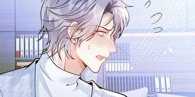 ����Υץ��30�ڥե륫�顼��