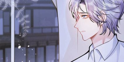 ����Υץ��62�ڥե륫�顼��