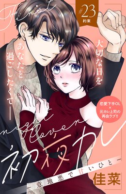 ���륫�� -���ϰ��ǴŤ��Ҥ�- ʬ���� 23��