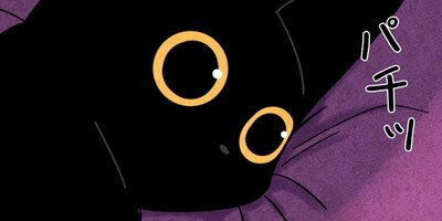 ��ǭ����ܥ��Ȼ� ��15�áڥե륫�顼��