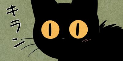 ��ǭ����ܥ��Ȼ� ��19�áڥե륫�顼��