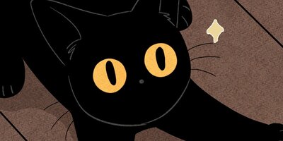 ��ǭ����ܥ��Ȼ� ��29�áڥե륫�顼��