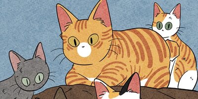 ��ǭ����ܥ��Ȼ� ��30�áڥե륫�顼��