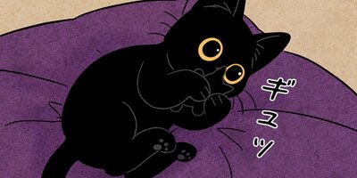 ��ǭ����ܥ��Ȼ� ��34�áڥե륫�顼��