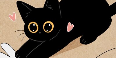 ��ǭ����ܥ��Ȼ� ��36�áڥե륫�顼��