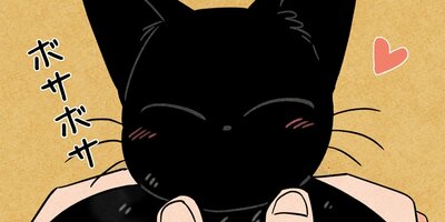 ��ǭ����ܥ��Ȼ� ��40�áڥե륫�顼��