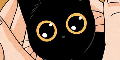 ��ǭ����ܥ��Ȼ� ��44�áڥե륫�顼��