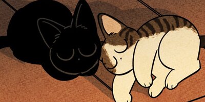 ��ǭ����ܥ��Ȼ� ��52�áڥե륫�顼��