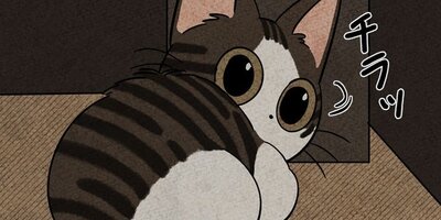 ��ǭ����ܥ��Ȼ� ��57�áڥե륫�顼��