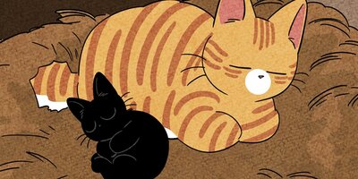 ��ǭ����ܥ��Ȼ� ��58�áڥե륫�顼��