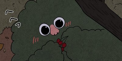 ��ǭ����ܥ��Ȼ� ��72�áڥե륫�顼��