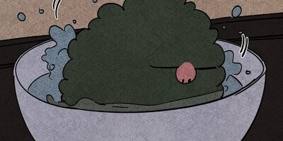 ��ǭ����ܥ��Ȼ� ��74�áڥե륫�顼��