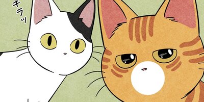 ��ǭ����ܥ��Ȼ� ��80�áڥե륫�顼��