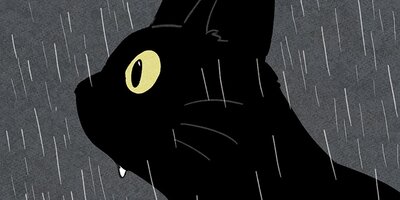 ��ǭ����ܥ��Ȼ� ��102�áڥե륫�顼��