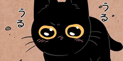 ��ǭ����ܥ��Ȼ� ��109�áڥե륫�顼��