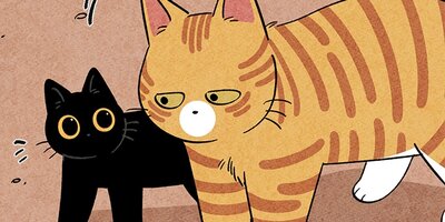 ��ǭ����ܥ��Ȼ� ��110�áڥե륫�顼��