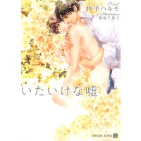 いたいけな嘘